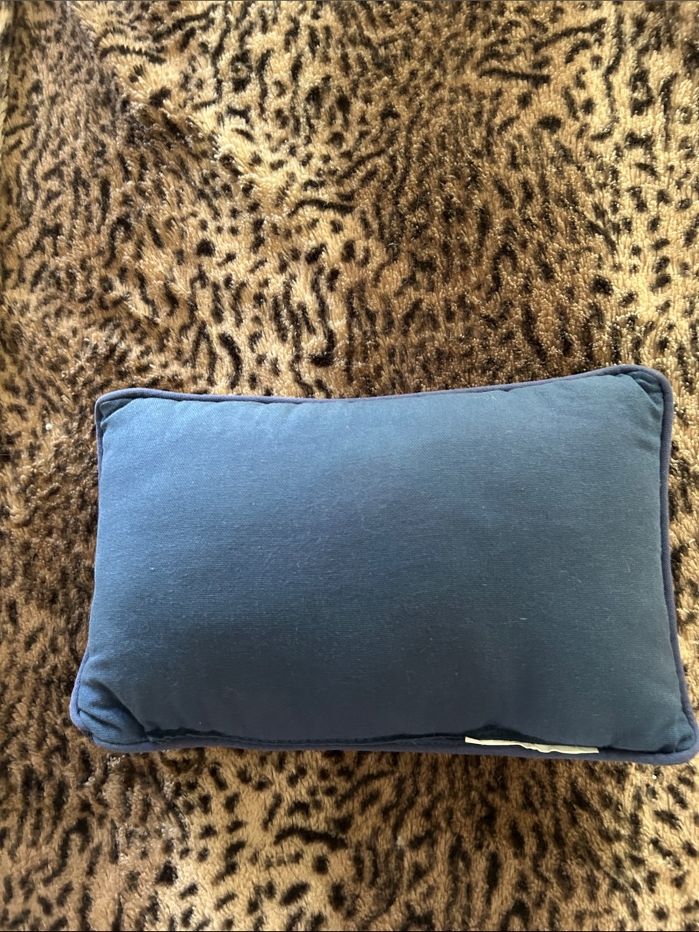 Mary Engelbreit Cream, Green, Blue, Red "It's Good to Be Queen" Accent Pillow - Picture 7 of 7